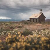 Distinctive Features of the New Religious Movements as a Whole